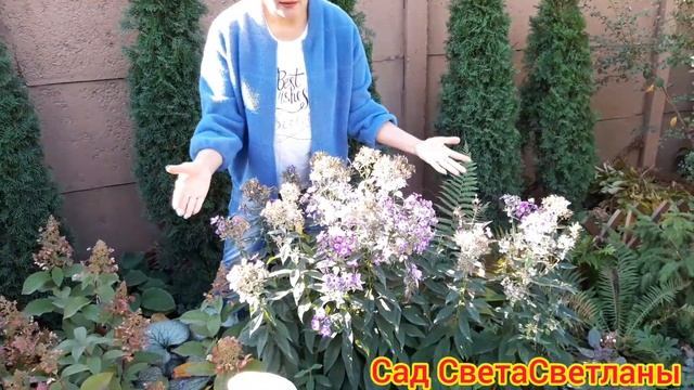 Красивый ухоженный сад.Вопросы не заканчиваются.Ландшафтный дизайн своими руками. КРАСИВАЯ ДАЧА. смотреть онлайн