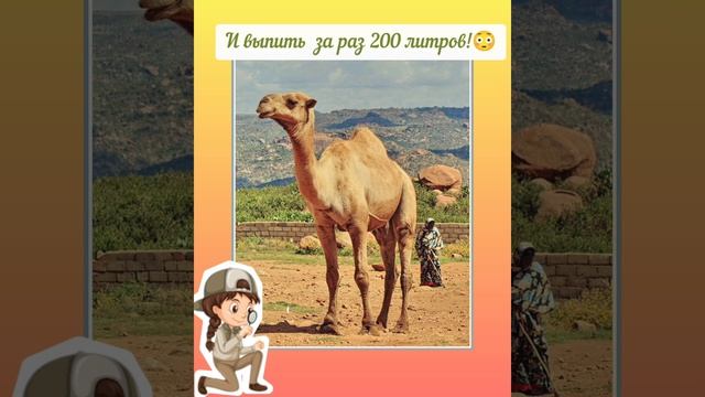 Ludmila Alexsandrowna