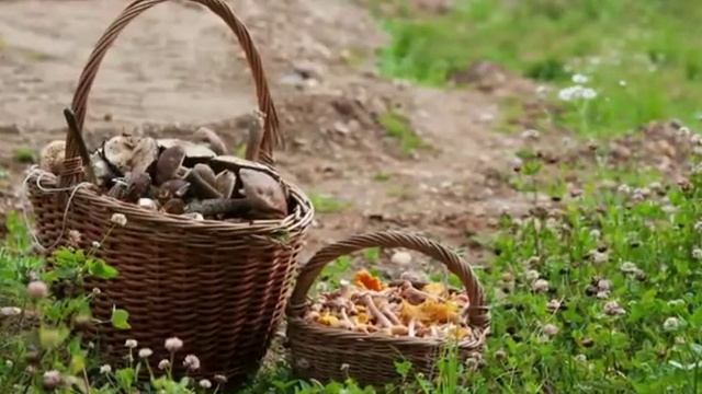 НА РОДИНЕ смотреть онлайн