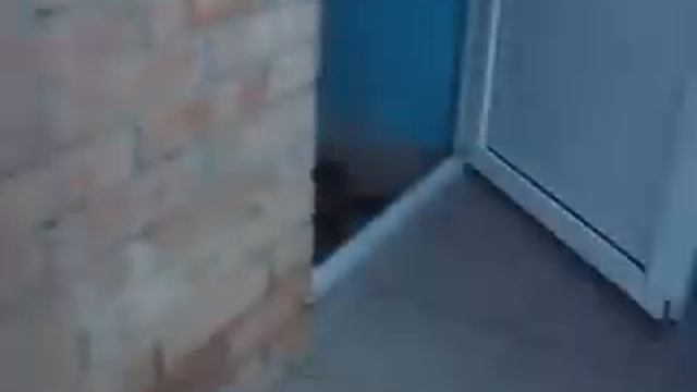 Видео душ в лагере