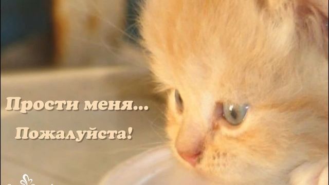 Прости меня, пожалуйста! смотреть онлайн