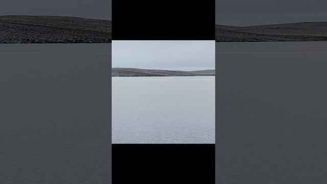 1000007081.mp4 смотреть онлайн