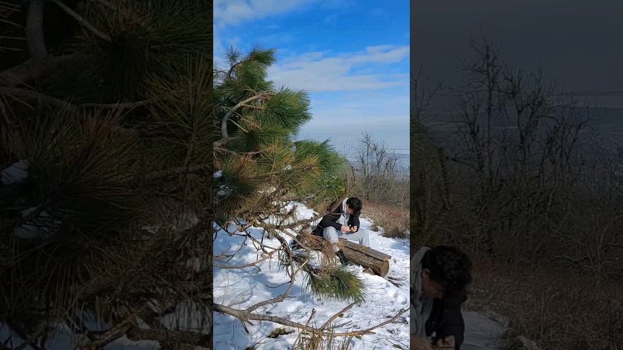 НУЖЕН ЛИ НОЖ В ГОРНОМ ЛЕСУ?? #выживание #bushcraft #forest #бушкрафт #bushcra #ковка смотреть онлайн