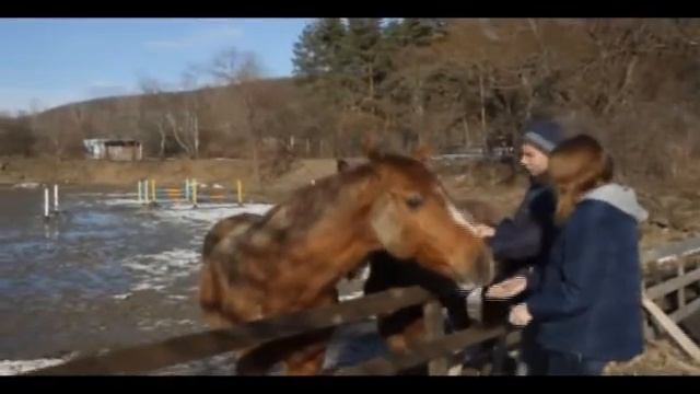 Йога НАРАЯНА Ретрит шедок 2017 смотреть онлайн