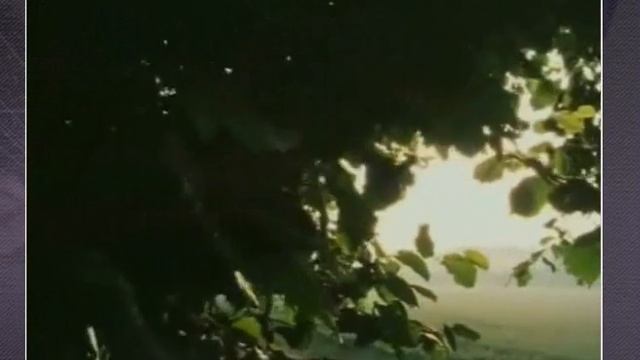 Fotoperiodizm смотреть онлайн