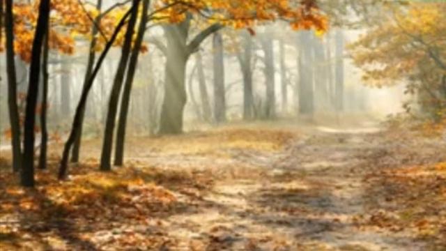 Любовь ради Аллаха:)) смотреть онлайн