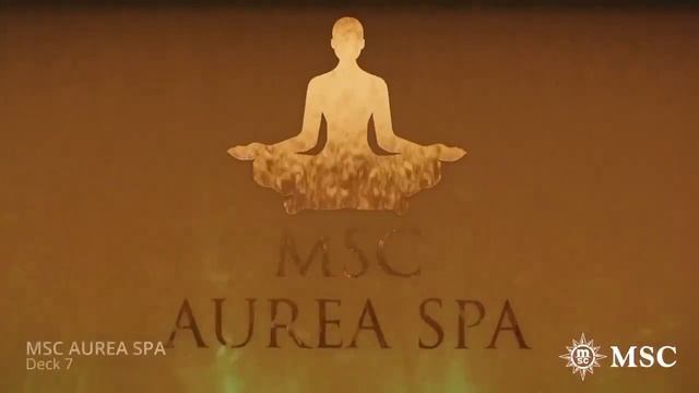 Лайнер MSC Virtuosa смотреть онлайн