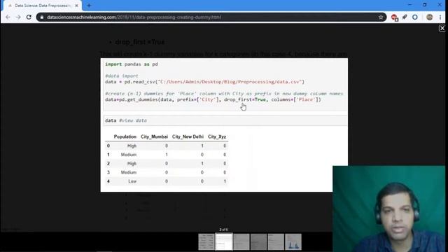 Preprocessing: Creating Dummy Variables, Converting Ordinal Variables, Log Transformation смотреть онлайн