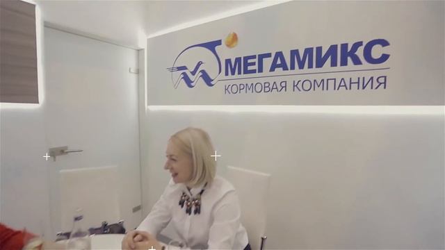 МЕГАМИКС на ЗКВ-2017 смотреть онлайн