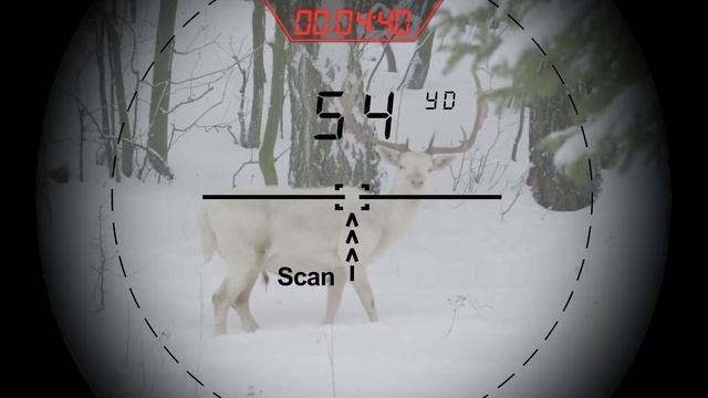 ATN X-Sight 2HD и цифровой Лазерный Дальномер смотреть онлайн