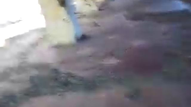 Спту часть первая смотреть онлайн