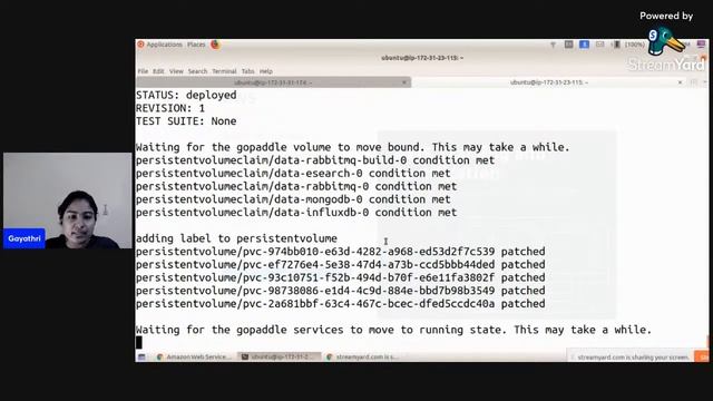 Week 2 - Installation & configuring gopaddle community edition on microk8s смотреть онлайн