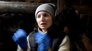 С ЛЮБОЙ КОЗОЙ ТАКОЕ МОЖЕТ СЛУЧИТЬСЯ. Прыщи на вымени