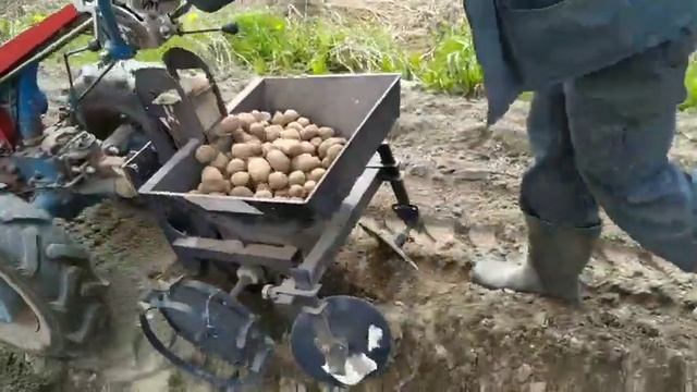 Работа мотоблока МТЗ 05 и картофелесажалки ВРМЗ смотреть онлайн