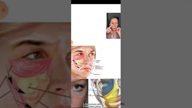 Марафон про лицо ч.3 (теория) смотреть онлайн