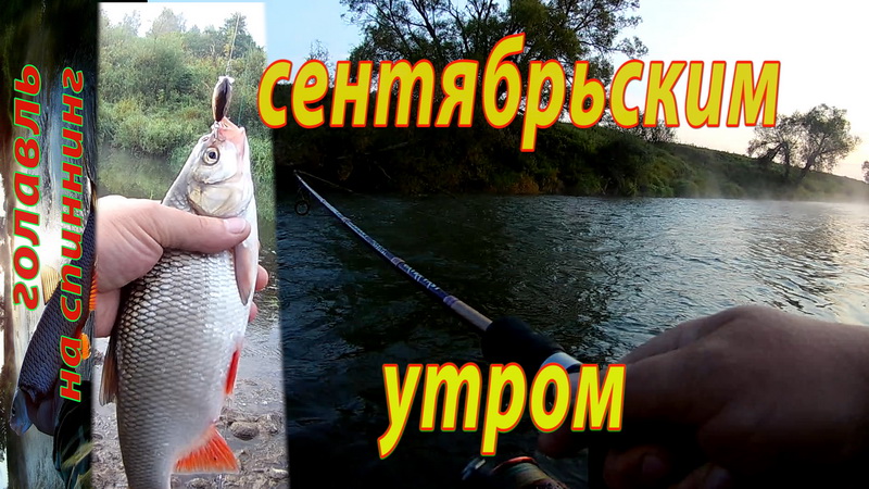 Ловля ГОЛАВЛЯ на спиннинг в сентябре. Рыбалка на реке. смотреть онлайн