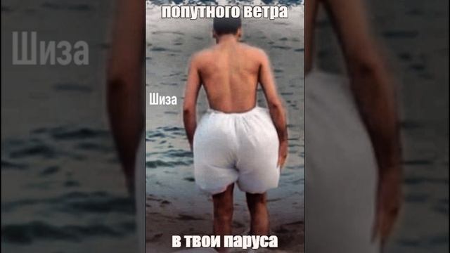 Shotcut-20240212-230844.mp4