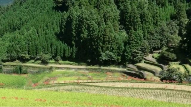 五木の子守唄　健康歌声カラオケ смотреть онлайн