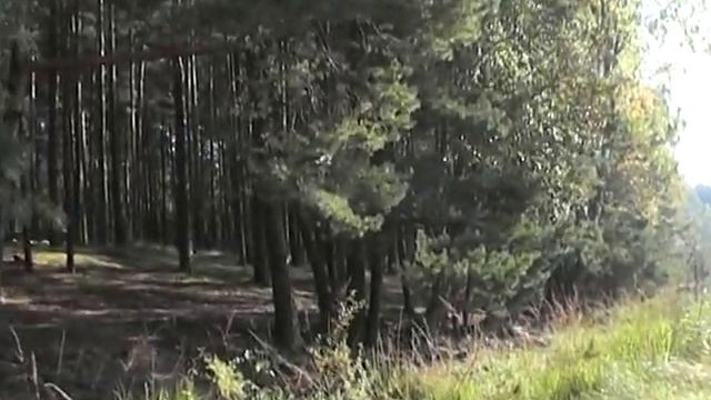 Борьба с самим собой. смотреть онлайн