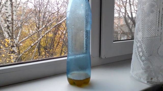 Как избавиться от мышей в частном доме рас и навсегда народными средствами to catch mice смотреть онлайн