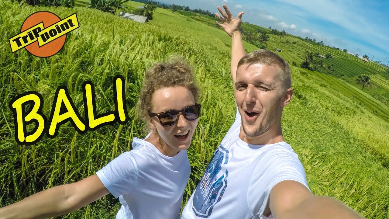 АРХИВ. БАЛИ - рисовые террасы ДЖАТИЛУВИХ. Кофе ЛЮВАК смотреть онлайн