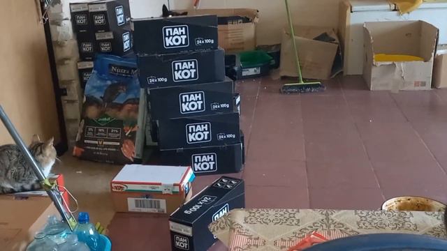 Не привезли заказаный наполнитель Е-КОТ светлые гранулы древесный. Отчет за 22.12.2023 смотреть онлайн