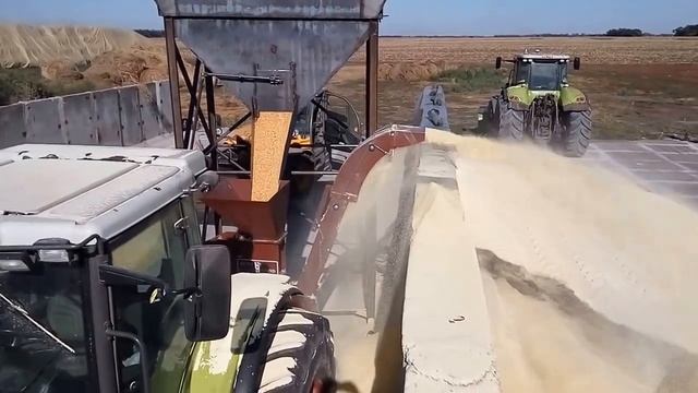 Дробилка зерна молотковая Roto Grind смотреть онлайн