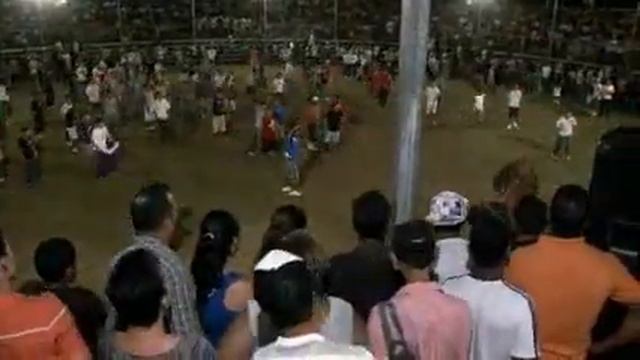 Costa Rica Bull Running смотреть онлайн