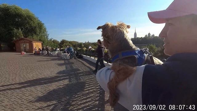 2 сентября 2023г. Владимир, день города. смотреть онлайн