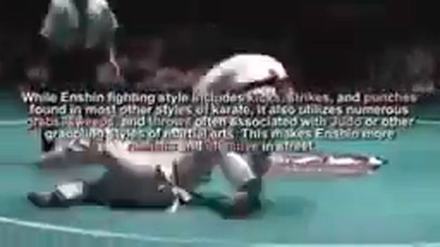 ВОТ ЧТО ТАКОЕ АШИХАРА КАРАТЭ WHAT A ASHIHARA KARATE IS! смотреть онлайн