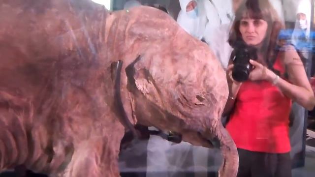 10 Mysterious Things Found Frozen in Ice смотреть онлайн