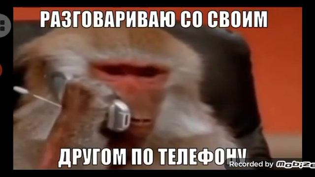 не ломай мне яйца🤬 смотреть онлайн