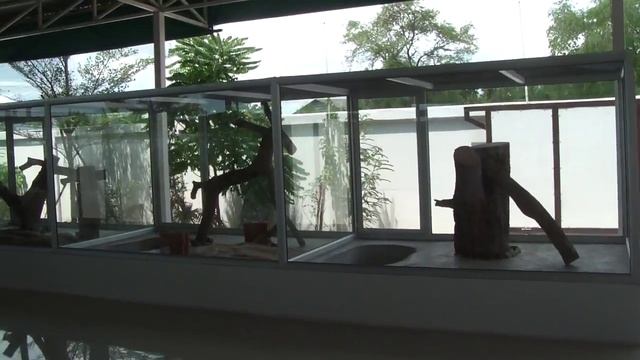 На змеиной ферме. Часть обзорной программы от Анекс-тура. смотреть онлайн