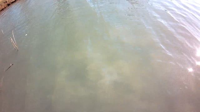 XP Deus2?Дэус2???по воде 2 часть/коп как есть/#Deus#Деус