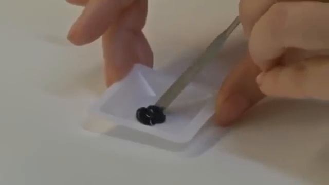 В Дании изобрели сверхпрочный клей из белков мидий (новости) http://9kommentariev.ru/ смотреть онлайн