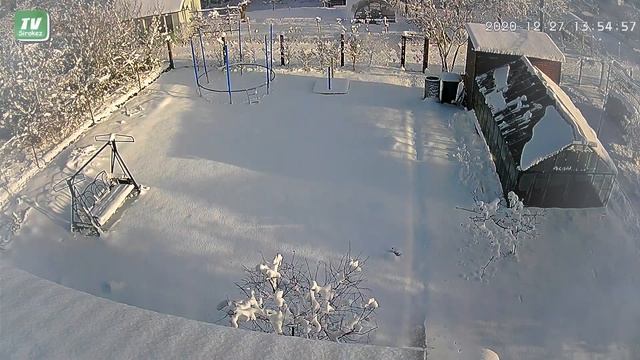 ЧП на заснеженной даче. Фантастика. смотреть онлайн