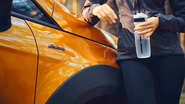 Ford EcoSport для бездорожья смотреть онлайн