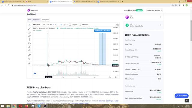 REEF FINANCE НЕДООЦЕНЕННАЯ КРИПТОВАЛЮТА? Что ждать от цены Reef?