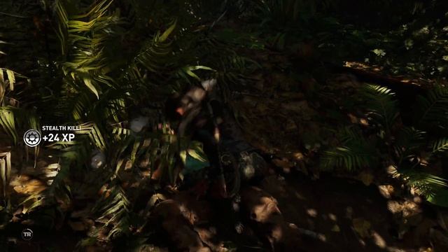 Shadow of the Tomb Raider ? Chain Takedown ? (Perform the Serpent's Fury 3 Times) MISSABLE!!! смотреть онлайн