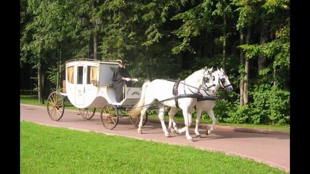 Ласточка. Ксения Сухих и гр. "Дремучий случай" смотреть онлайн