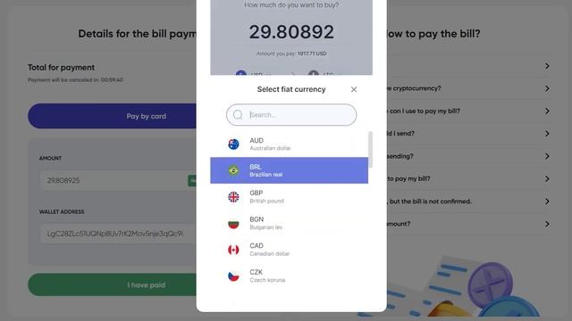 Payment By VISA/MASTERCARD Card Through Crypto Cloud Payment System