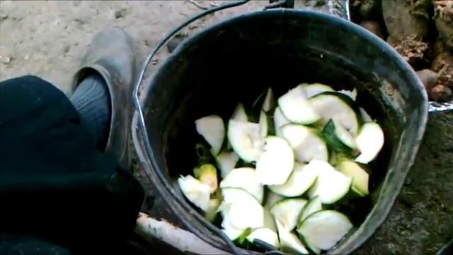 Утренняя мешанка для птицы Отходы в доходы смотреть онлайн