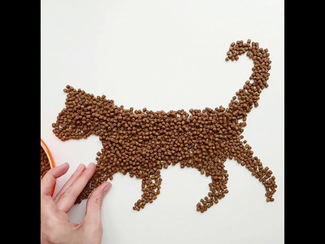 Рацион для котят. Сухой корм для котят Probalance "1`st Diet Kitten" смотреть онлайн