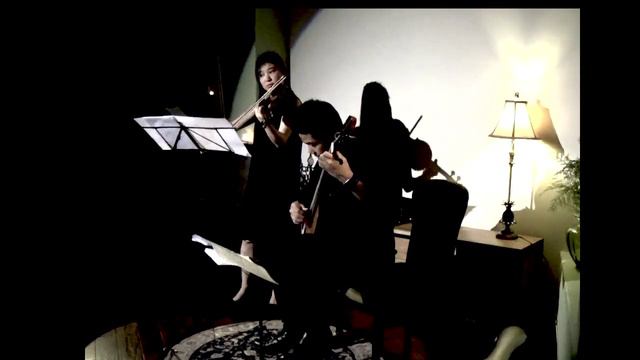 FAN Ye and Huang XiaoJun--Sonata Concertata(N.Paganini) смотреть онлайн