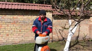 Время обработки плодовых по зеленому конусу и розовому бутону