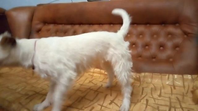 Учим кувырок через голову