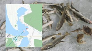 Зимняя рыбалка в бухте Мелководная. Владивосток - 25км. Ловлю навагу и готовлю 삼겹살. Булеры в работе.