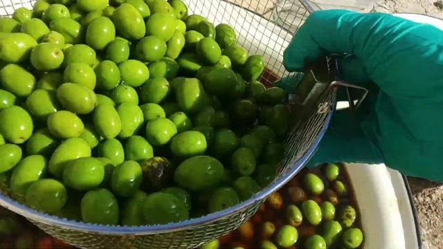 ☘️МАРИНОВАННЫЕ-СОЛЕНЫЕ ОЛИВКИ В ДОМАШНИХ УСЛОВИЯХ? смотреть онлайн