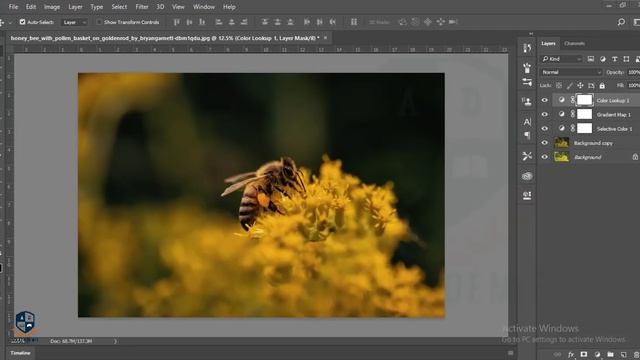 How to EDIT MACRO PHOTOGRAPHY using photoshop cc | CAMERA RAW FILTER (NEW) смотреть онлайн