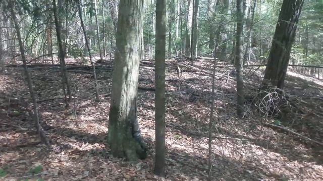 Коп старины в лесу , Древние находки смотреть онлайн